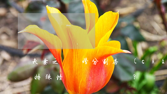 夫妻之間離婚分割房產(chǎn)有哪些特殊情況？